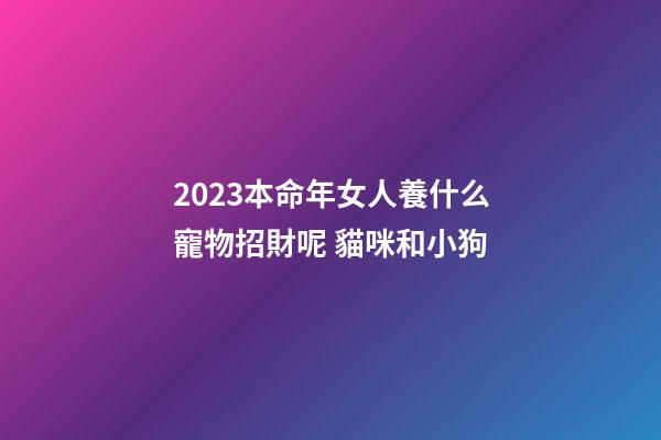 2023本命年女人養什么寵物招財呢 貓咪和小狗